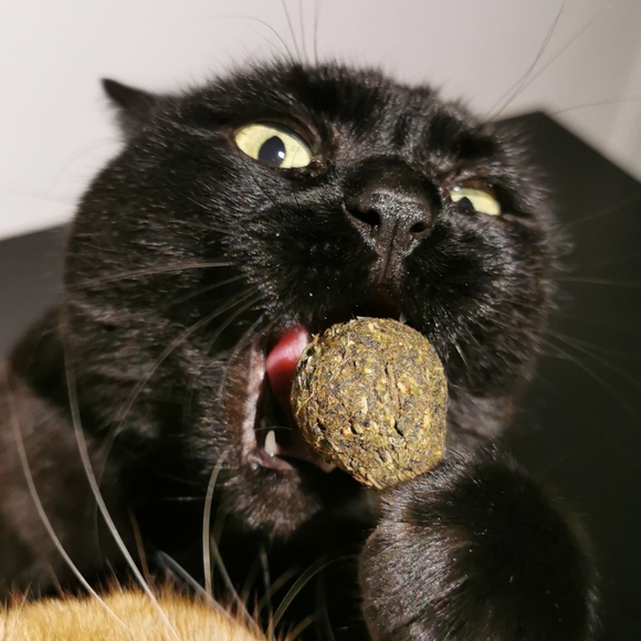 Meet your Posher, WastoidVintage - Picture 3 of 3